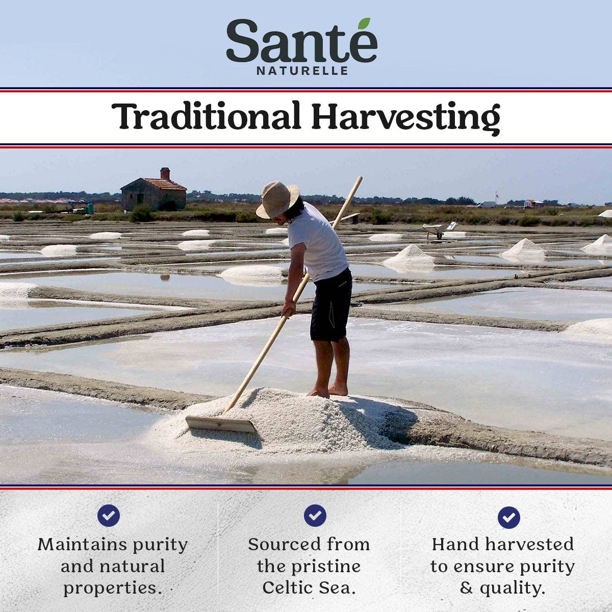 Sante Naturelle Salt - Wholesale Salt - French Celtic Sea Salt Grey Coarse 8oz Shaker4