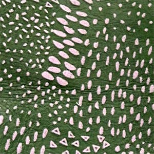 Tracey Tanner – wholesale Phone wallet – women's – Tia Crossbody Phone Case50