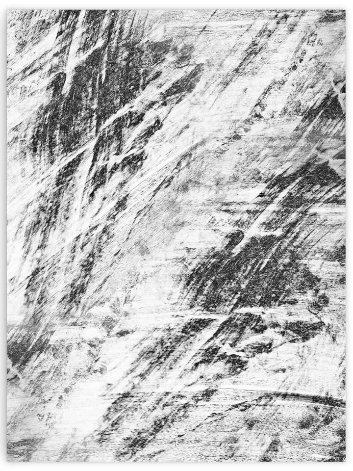 BROSSE NOIRE ET BLANCHE pour la vente par nordhaus