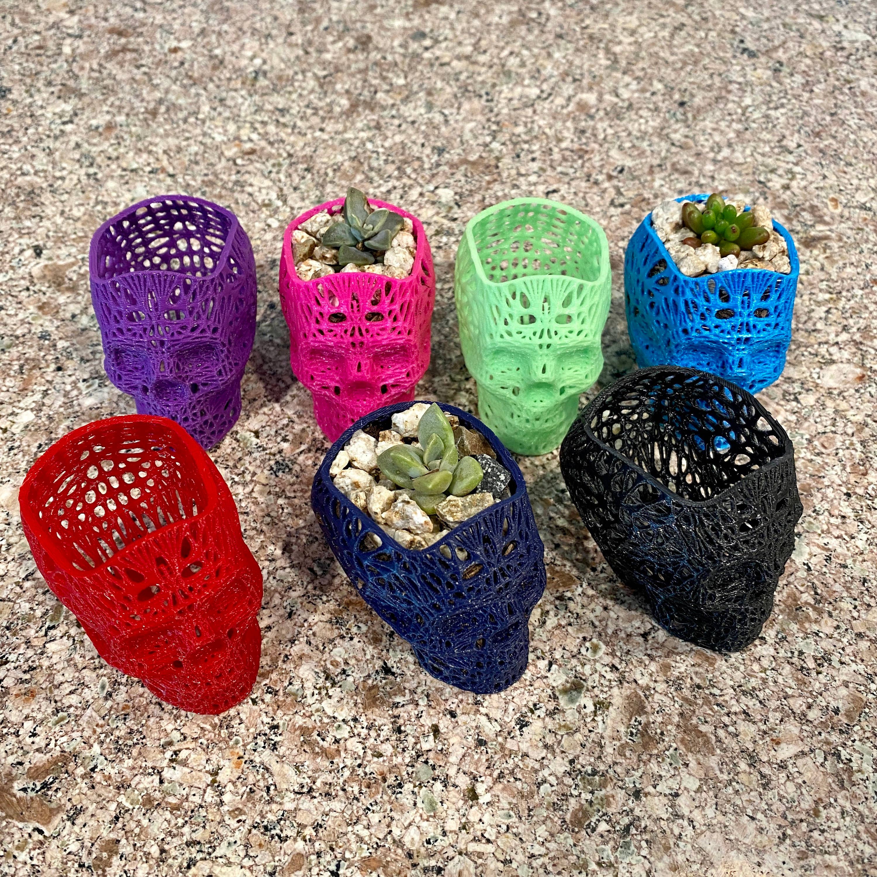 NumanPrints - Wholesale Plant Pot - 3D Printed Succulent Skull Planter Pot Small Indoor1