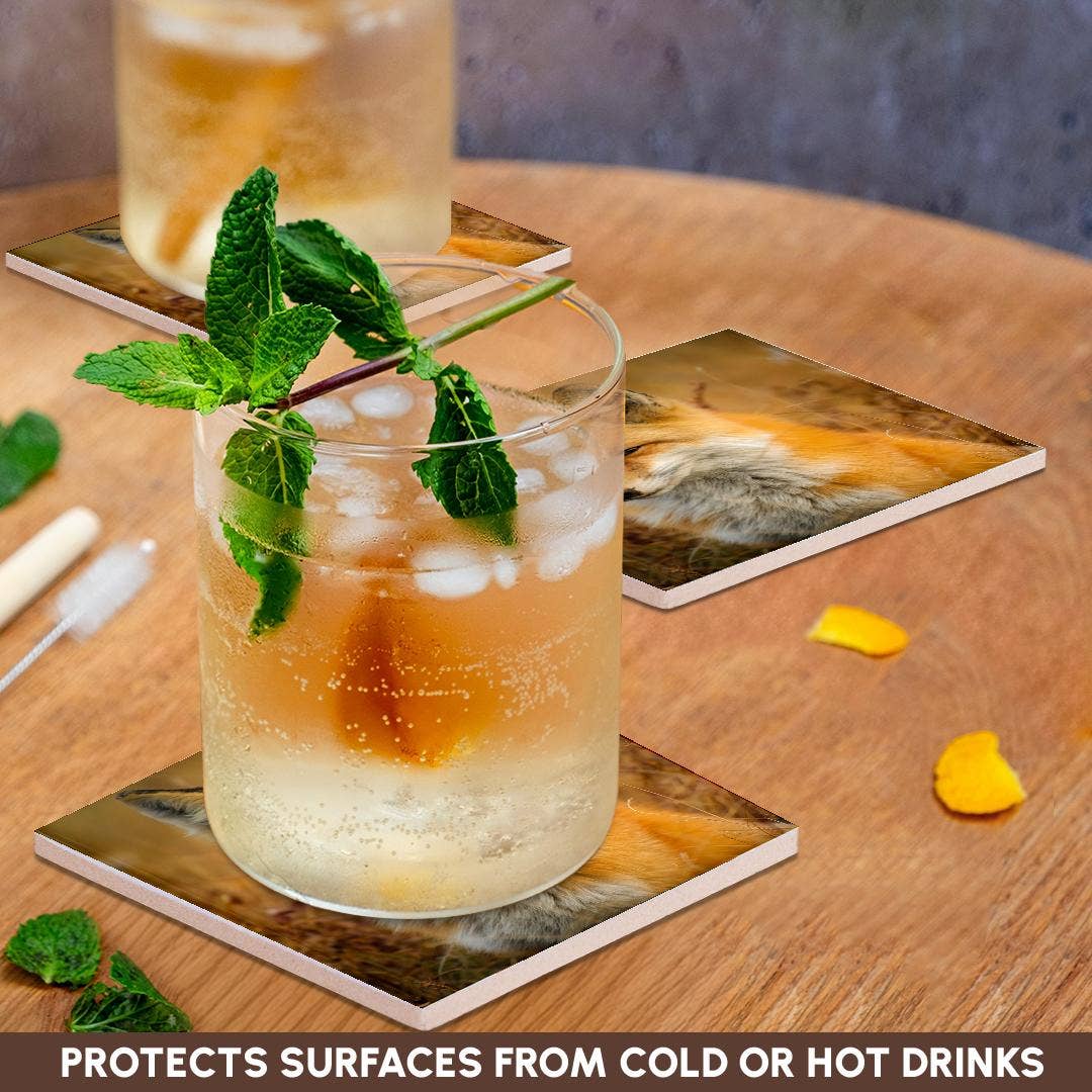 3dRose - Wholesale Coasters - 3dRose, Red Fox, Coaster2