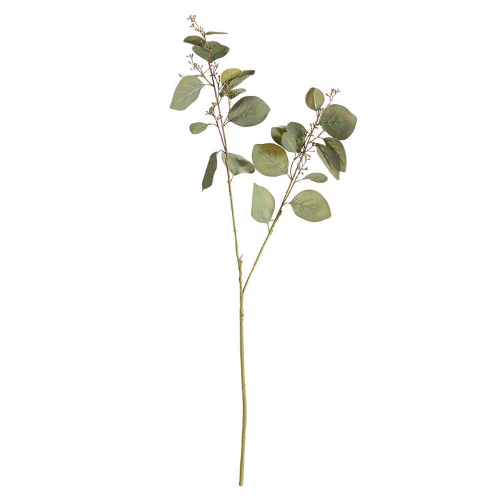 Silver Dollar Eucalyptus Branch 32" for wholesale by Napa Home & Garden