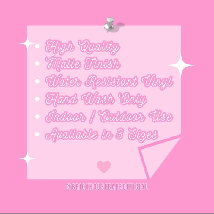 Brickhouse Babe LLC – Großhandel Aufkleber – Pickleball-Liebhaber Aufkleber und lustige Abziehbilder2