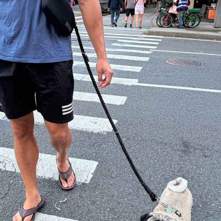 Midnight Hands-Free Rope Leash for wholesale by Lucy & Co.