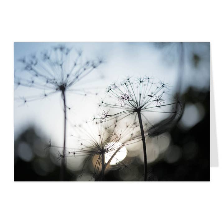 Vikbart "Skärmar i skymningen" för wholesale av paruspaper. nutzfeine papeterie