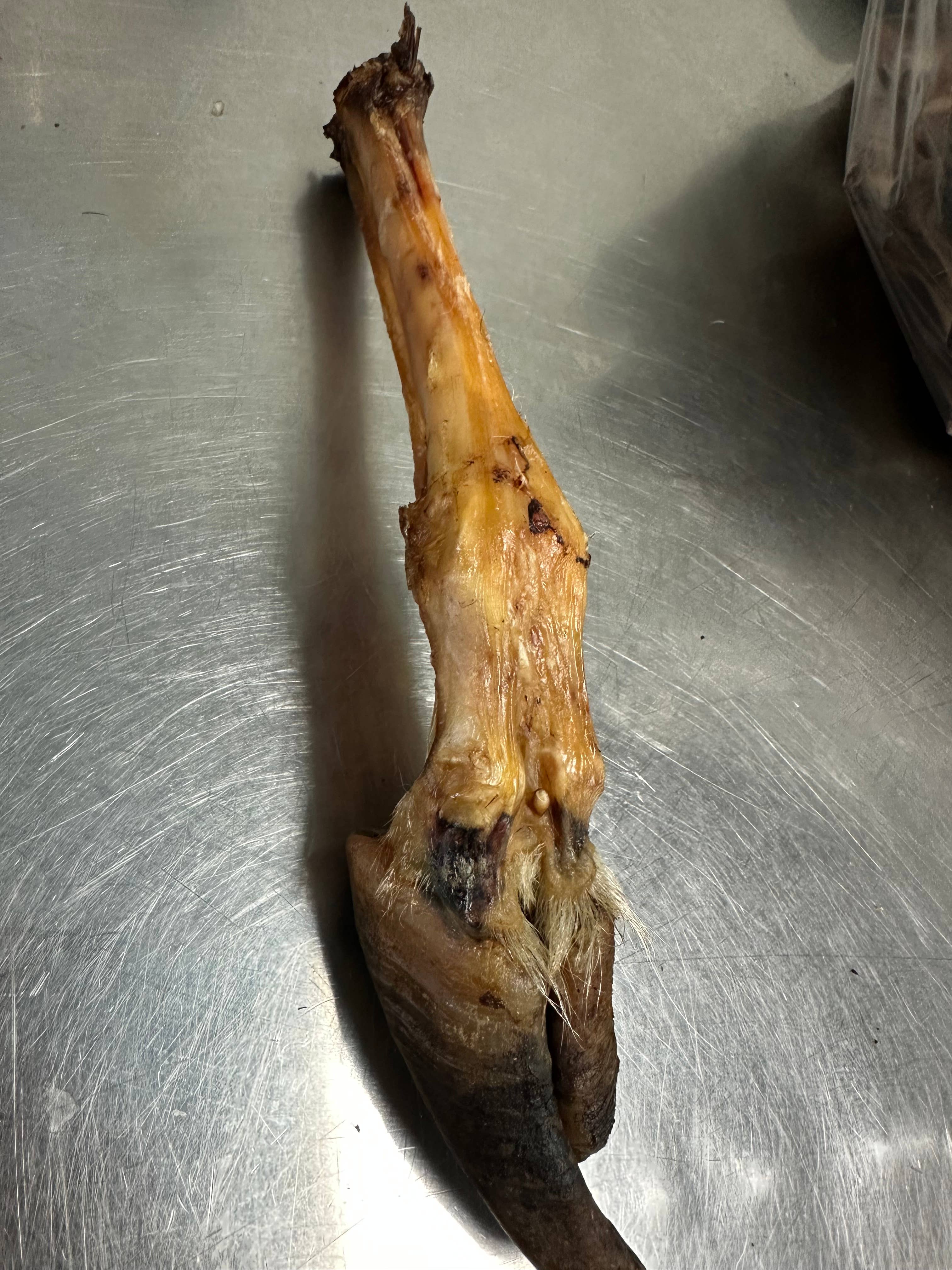 Tapia raw meats for pet food - Wholesale Pet Treats - Dog -  Trotter without fur 0