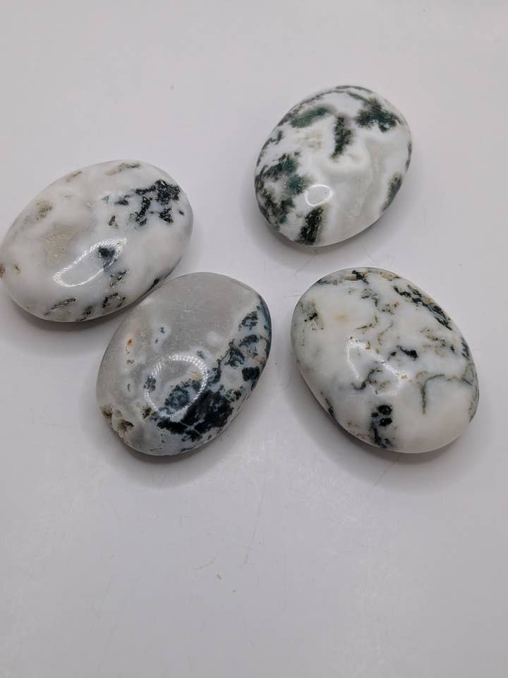 Moss Agate Palm Stone for wholesale by Moonbeam Healing