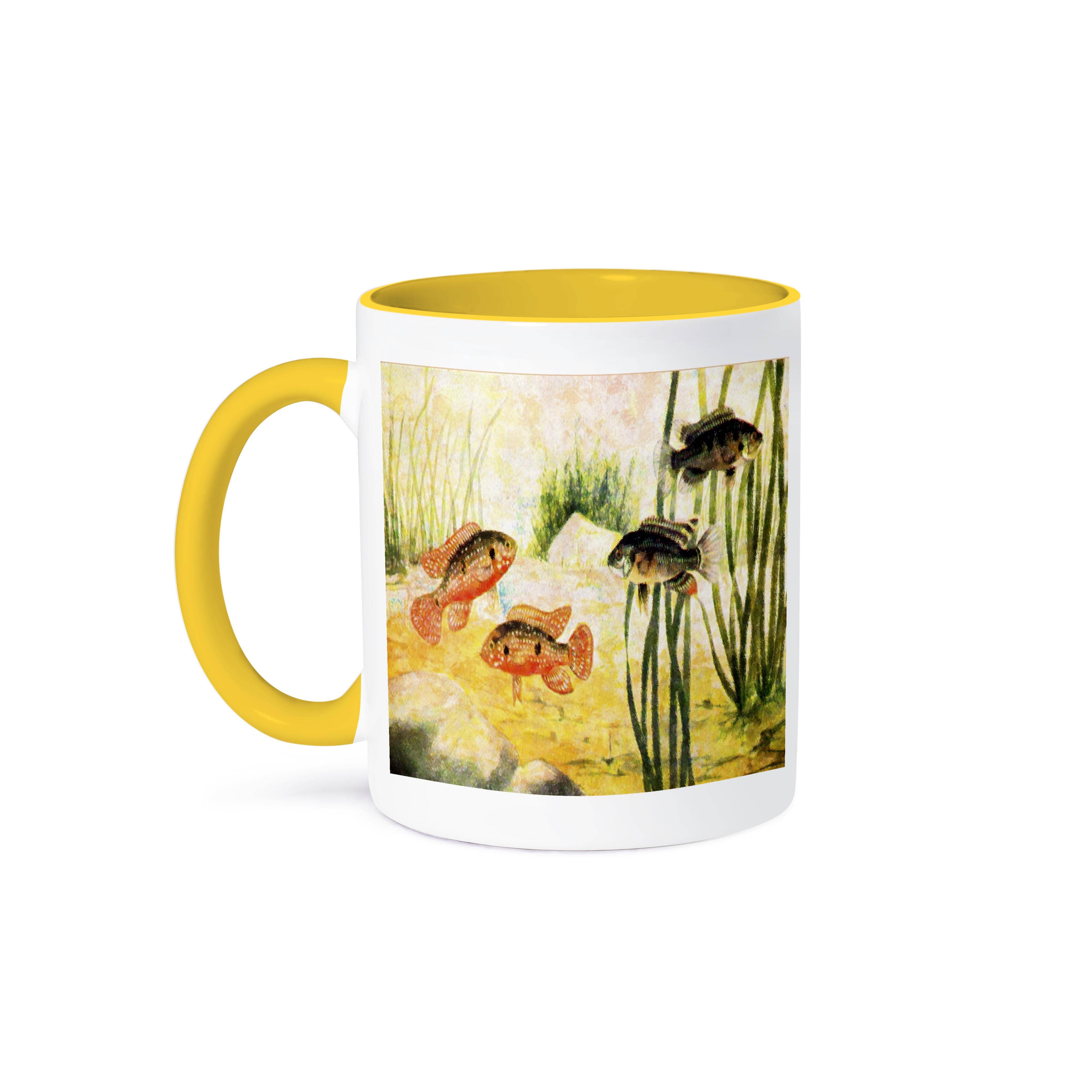 3dRose - Wholesale Coffee Mug - 3dRose, Fish In Aquarium, Mug0
