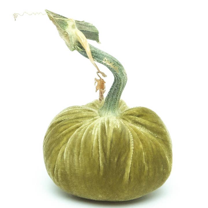 Hot Skwash - Wholesale Decorative Tabletop Object - Celery Silk Velvet Pumpkin