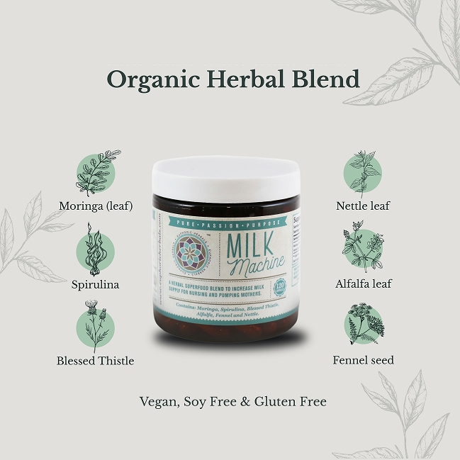 Euphoric Herbals - Venta al por mayor Infusión de lactancia - Suplemento de Lactancia Máquina de Leche4