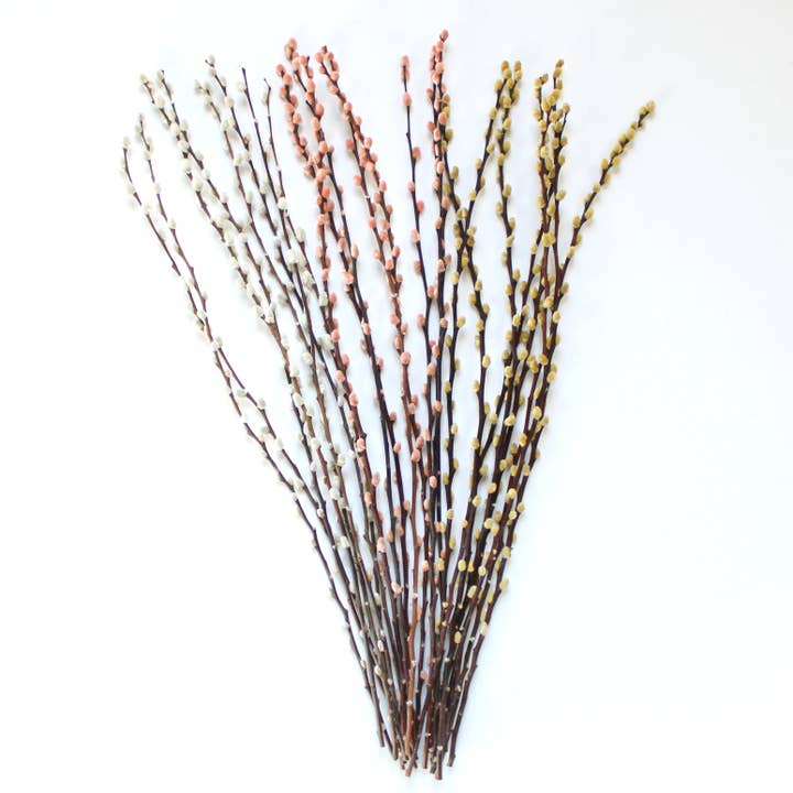 Roxanne's Dried Flowers - Wholesale Dried/Pressed Flowers - Pussy Willow - Dried2