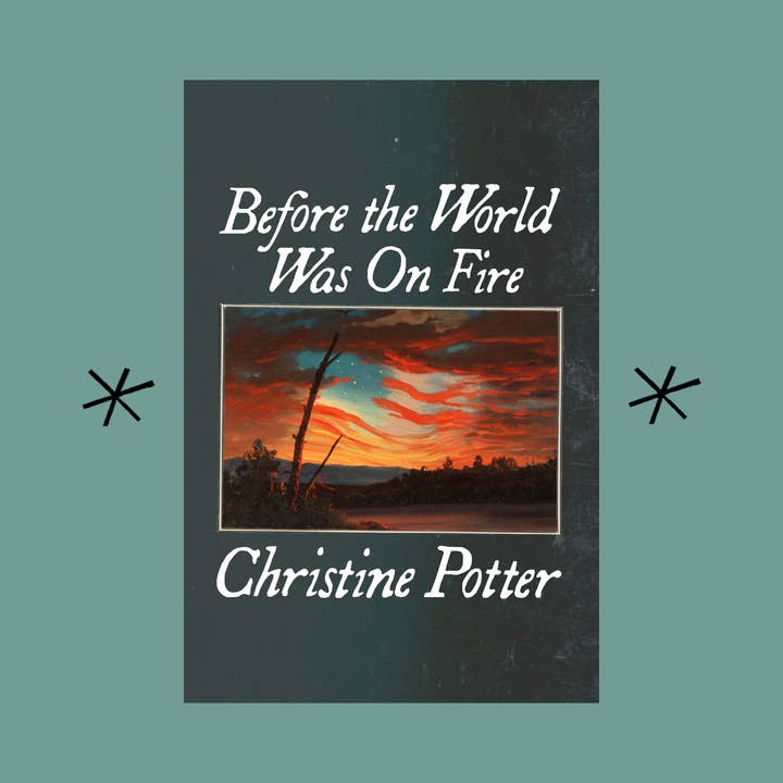 Prima che il mondo fosse in fiamme, di Christine Potter per la vendita all'ingrosso da parte di Bottlecap Press