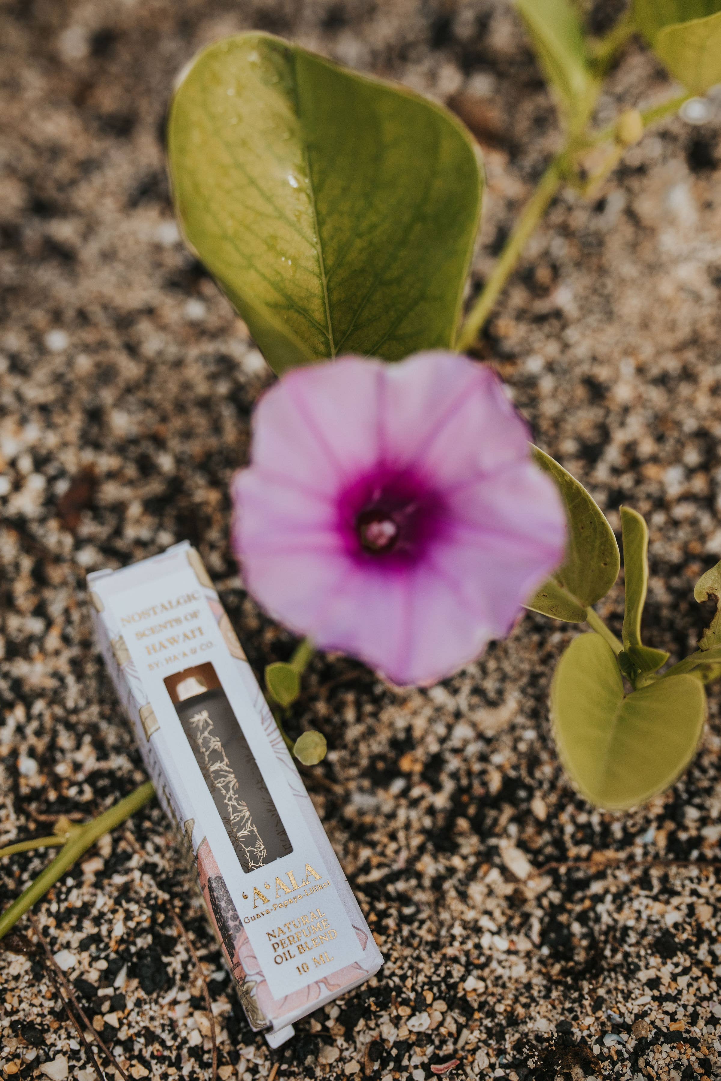 Ha‘a & Co. - Wholesale Fragrance Oil - ‘A’ALA Natural Perfume Oil Blend