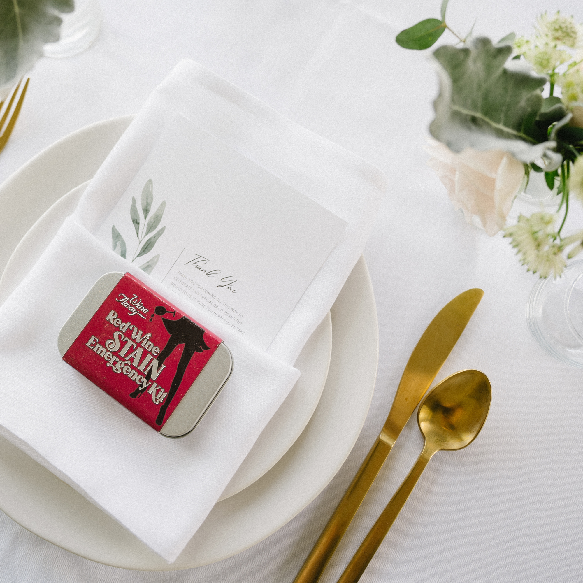 Wine Away - Wholesale Stain Remover - Wine Away Emergency Kit. Hostess Gift. Stocking Stuffer.15