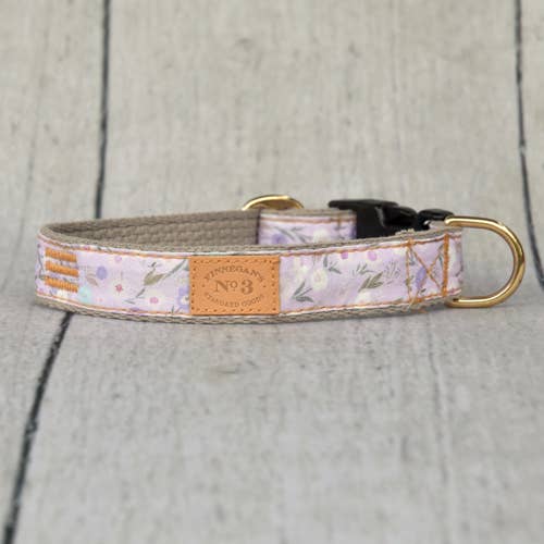 Collare da sogno di 1 pollice per la vendita all'ingrosso da parte di Finnegan’s Standard Goods