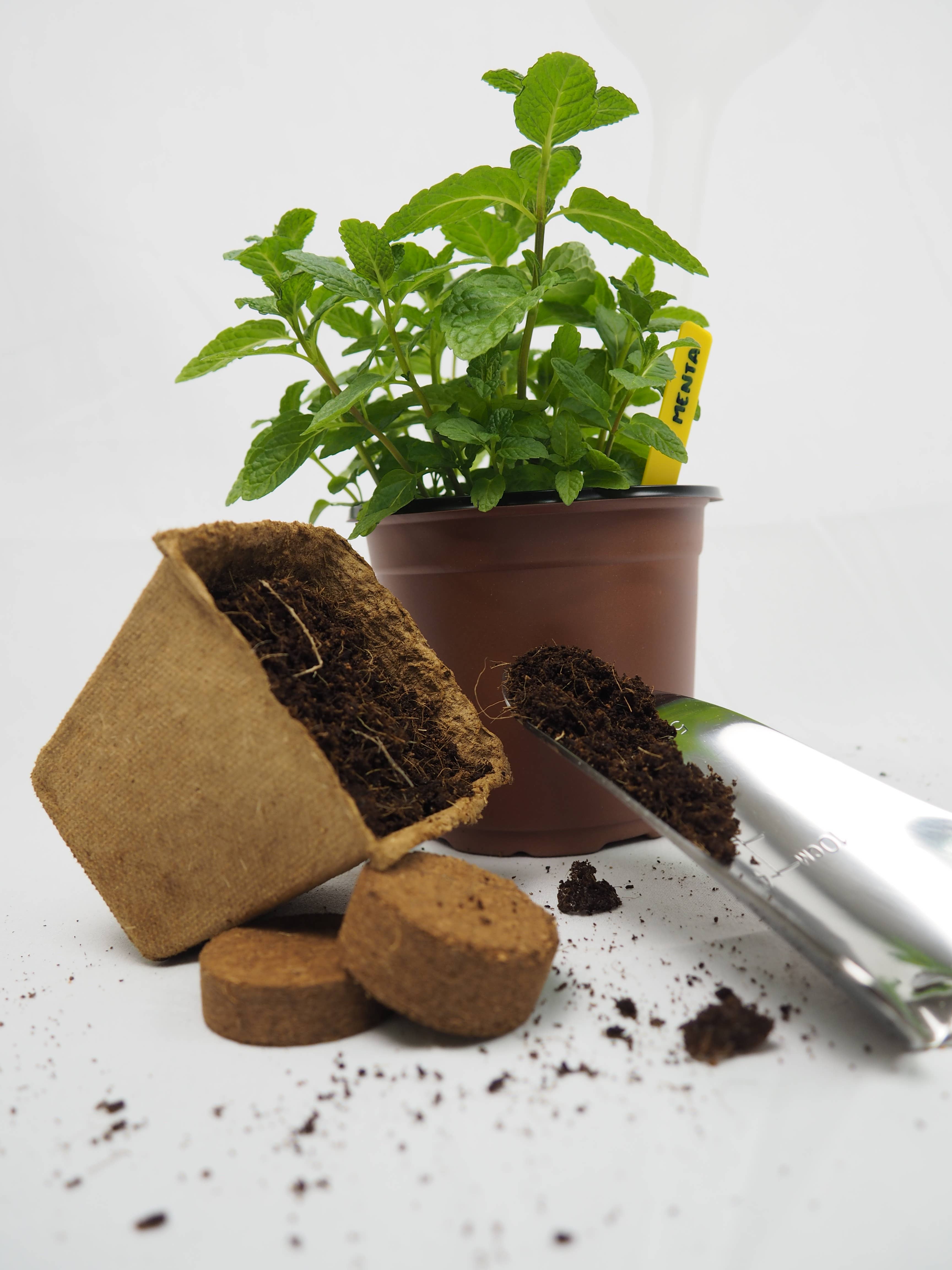 JARDIN Y NATURA OUTDOOR & GARDEN PRODUCTS SL - Wholesale Plant Pot - Grow pot Ø18cm - Growpot XL2