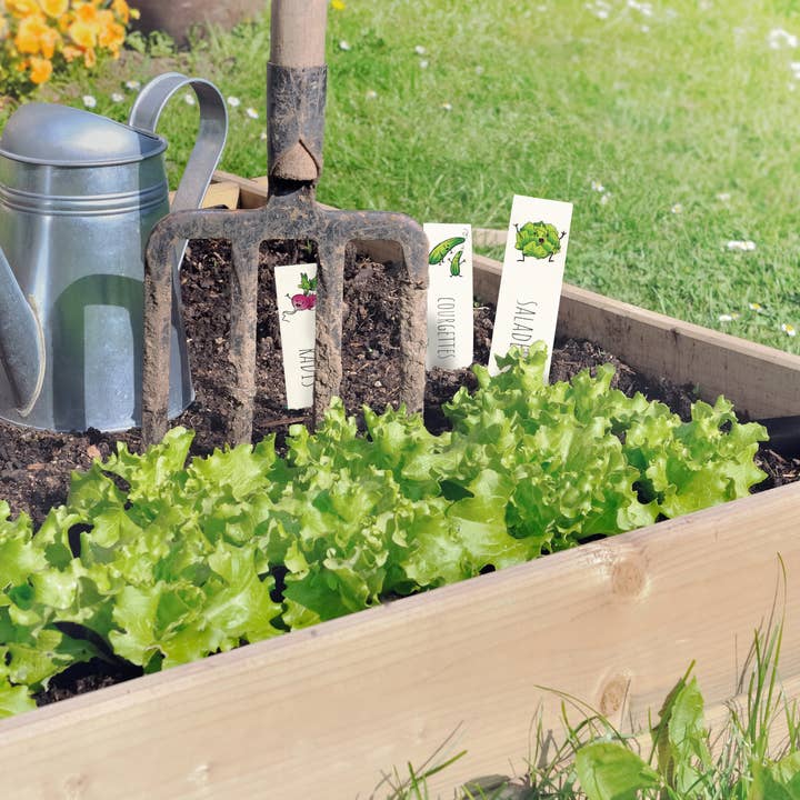 Graine Créative - Wholesale DIY Craft Kit - Kids - CRAZY PLASTIC KIT VEGETABLE GARDEN LABEL7