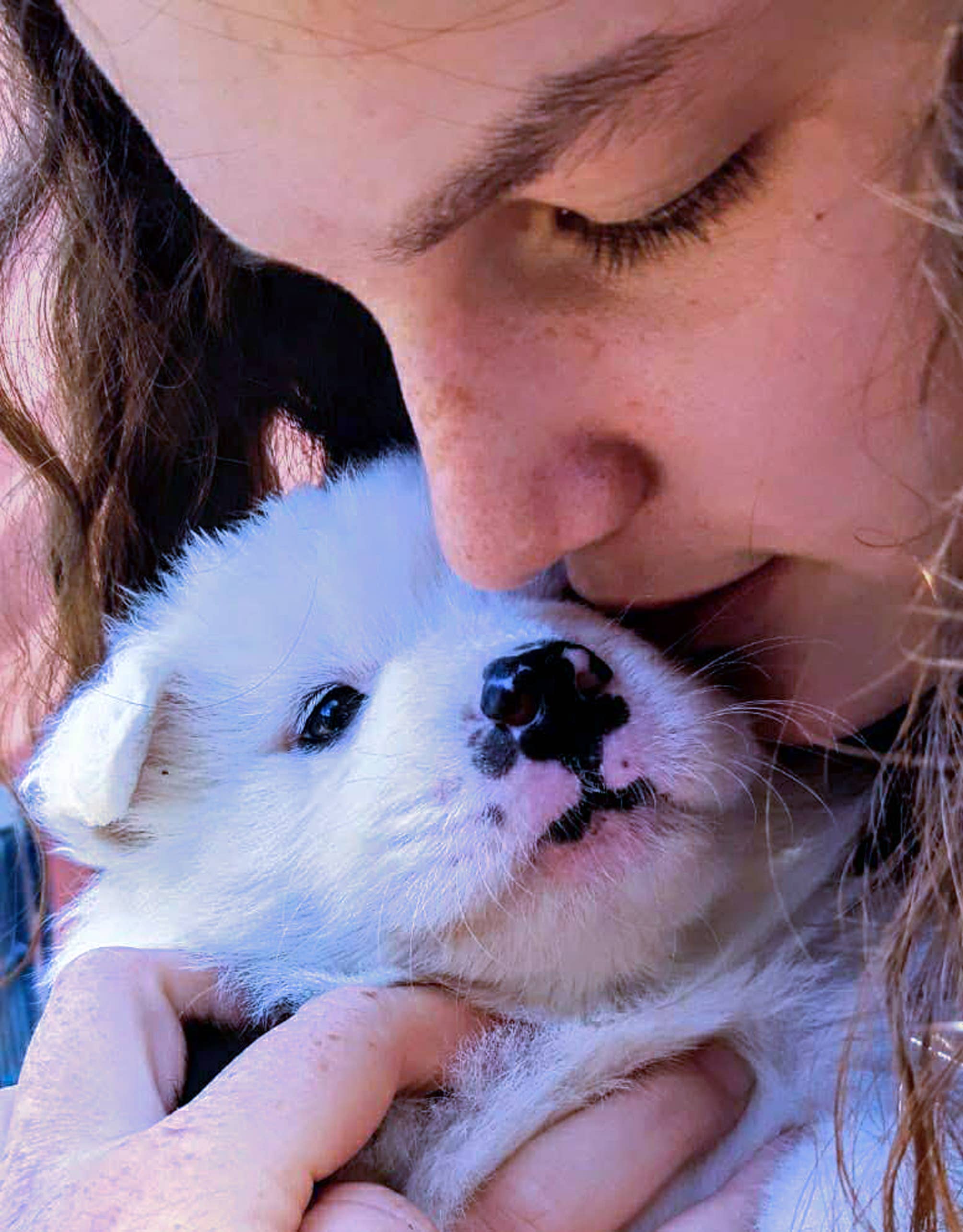 AnRoSi - Wholesale  - Het boek voor en met de hond: Paths to the Family Dog5