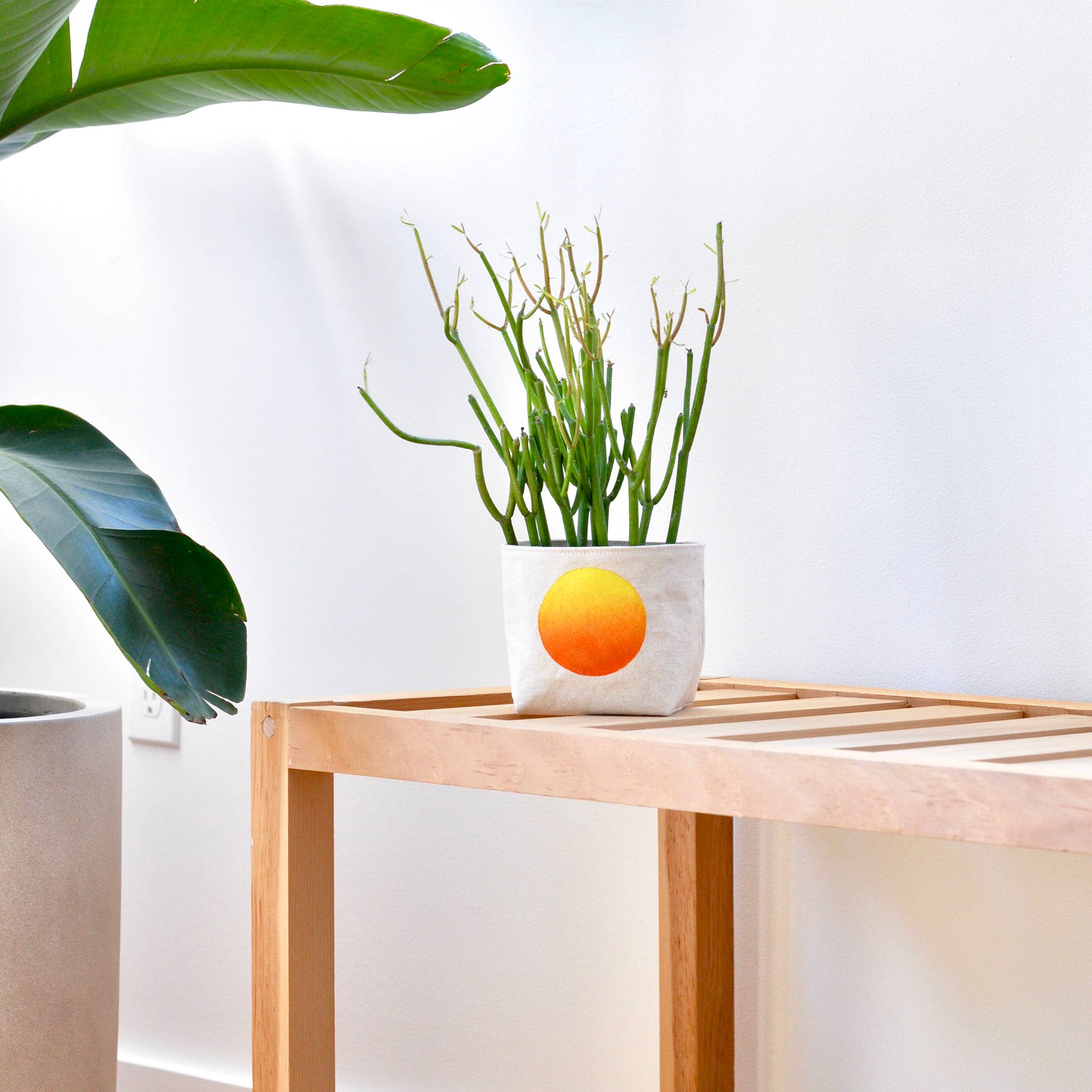 Gray Green Goods - Wholesale Plant Pot - Ombre circle blockprint canvas planter—4"5