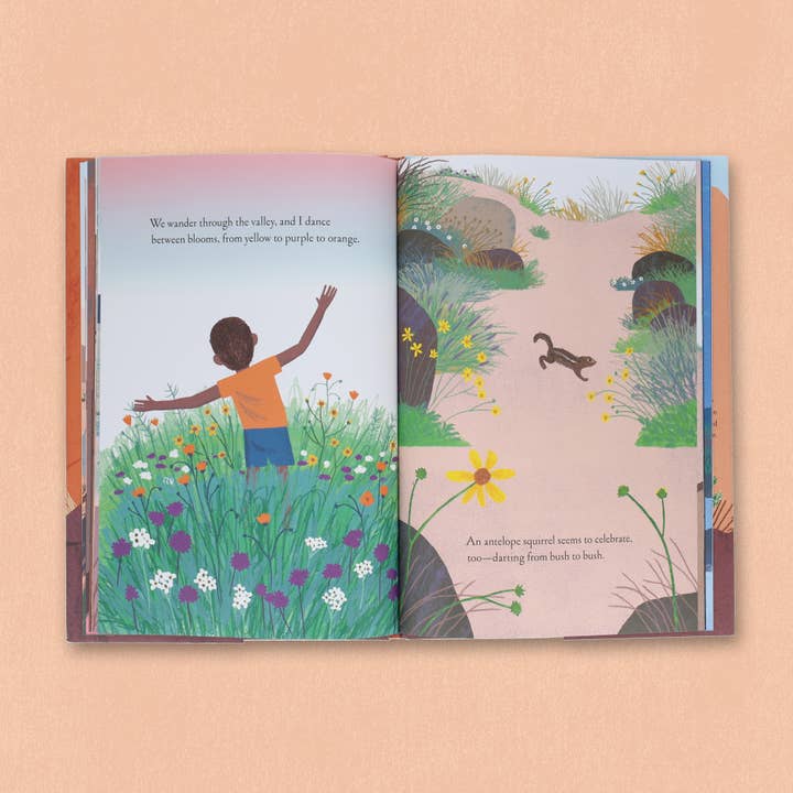 Chronicle Books - Wholesale Nature & Outdoors - Over and Under the Canyon12