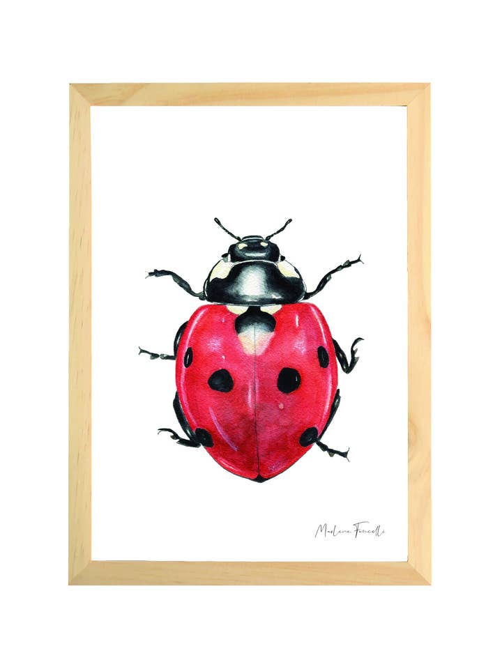 Djurram ritad och tryckt - nyckelpiga för wholesale av Les aquarelles de Marlene