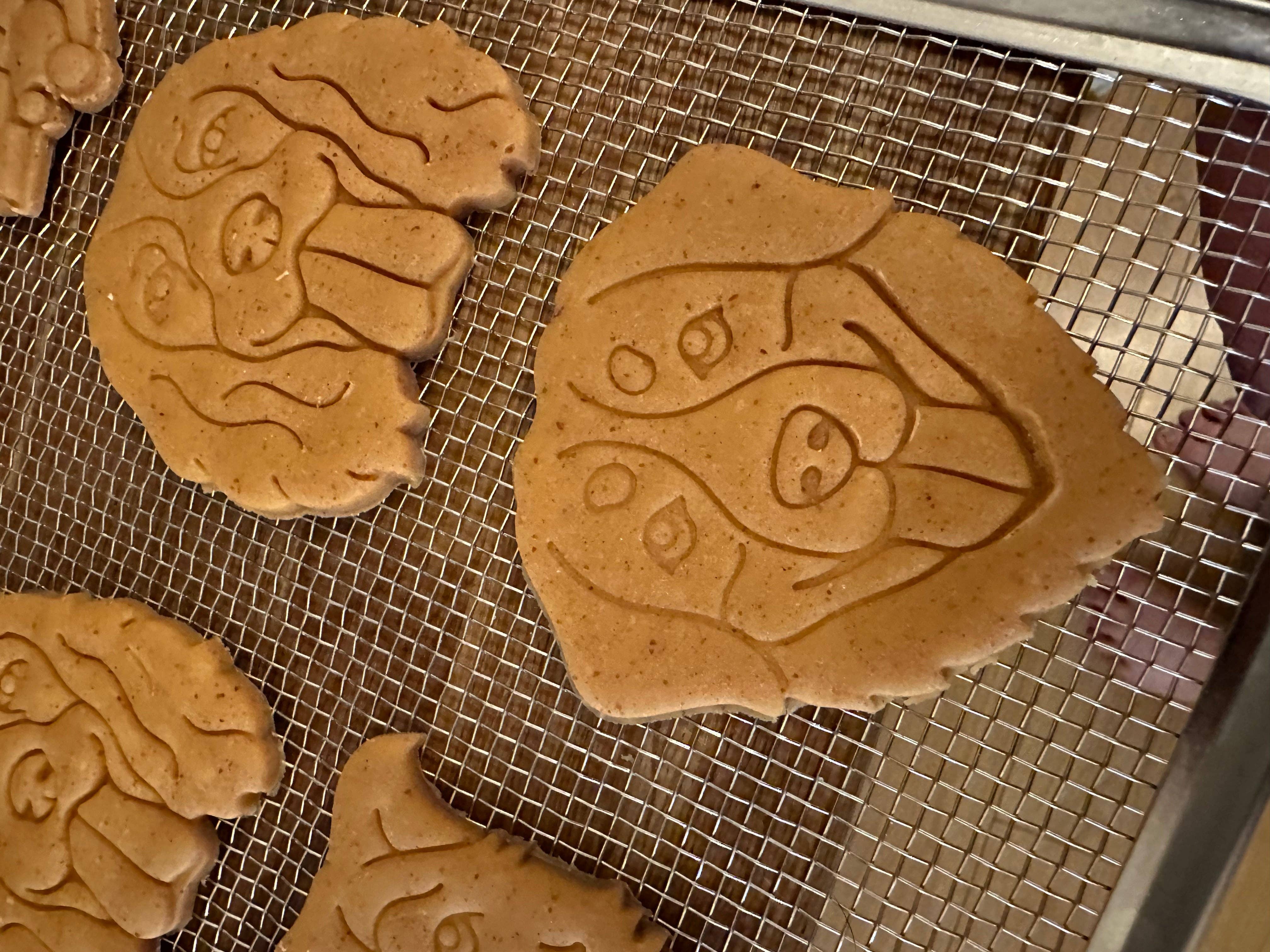 The Dog Shack - Vente Biscuits – chien - Biscuits pour chiens en forme de beurre de cacahuète sans céréales41