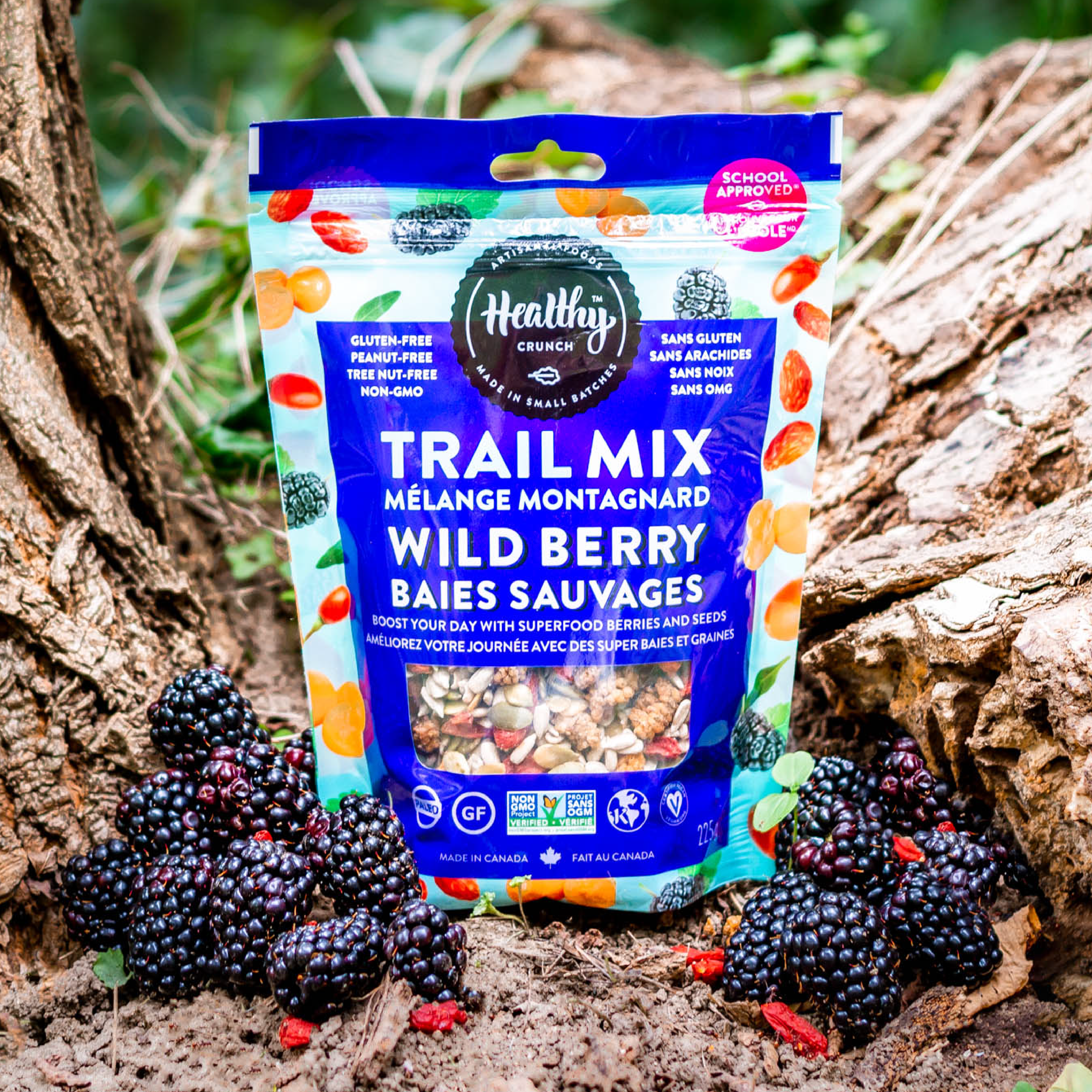 Healthy Crunch - Wholesale Trail Mix - Wild Berry Trail Mix1