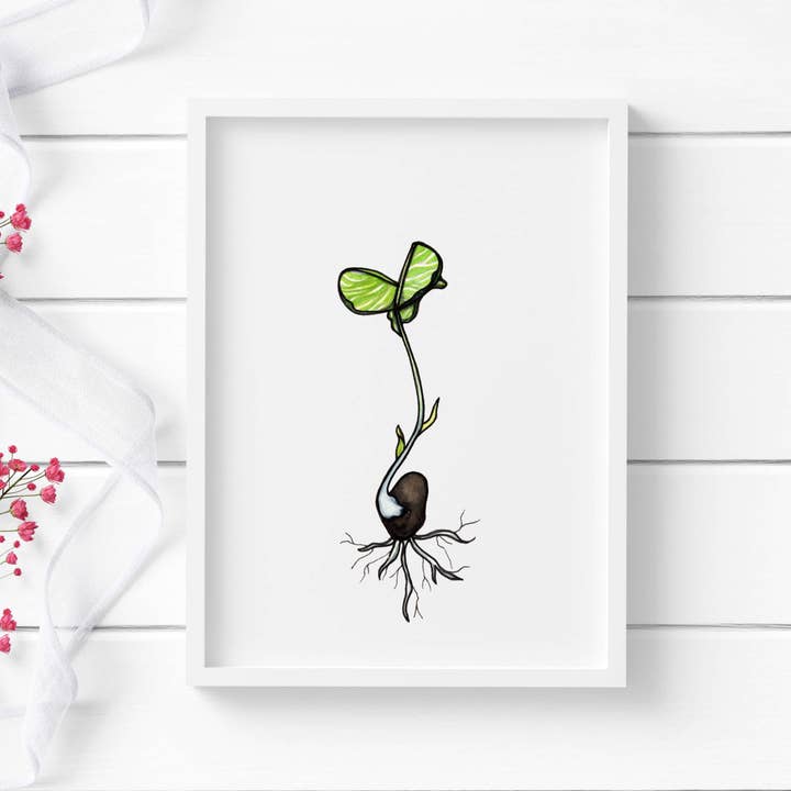 "Black Bean Sprout" Watercolor Painting: Art Print for wholesale by PinkPolish Design