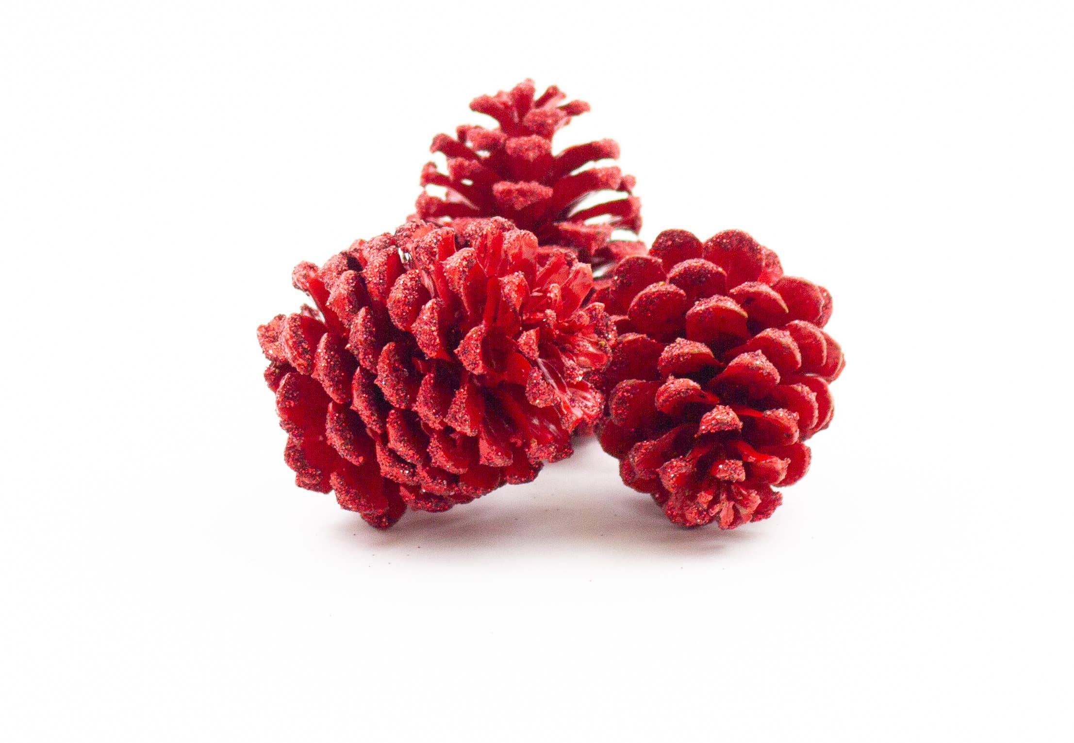 Winter Woods - Wholesale Decorative Tabletop Object - Ponderosa Pine Cones2