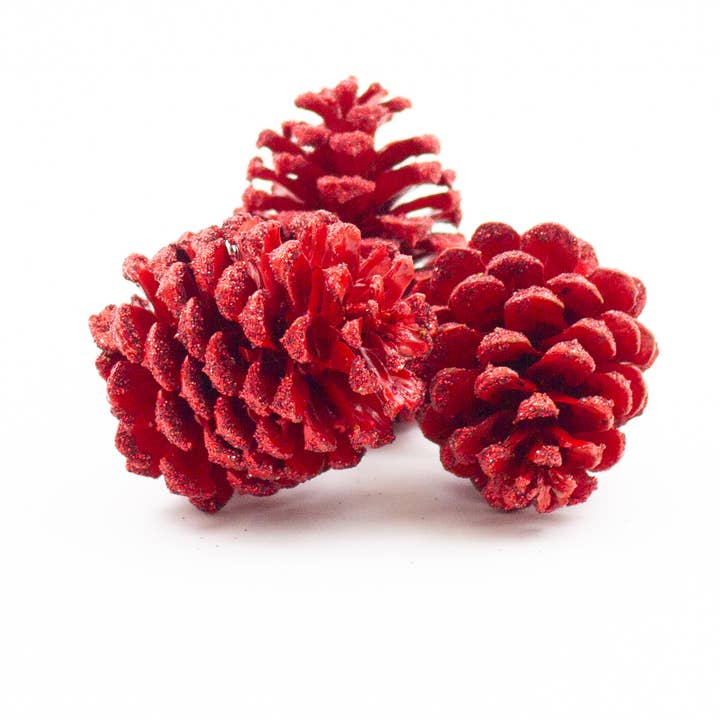 Winter Woods - Wholesale Decorative Tabletop Object - Ponderosa Pine Cones2