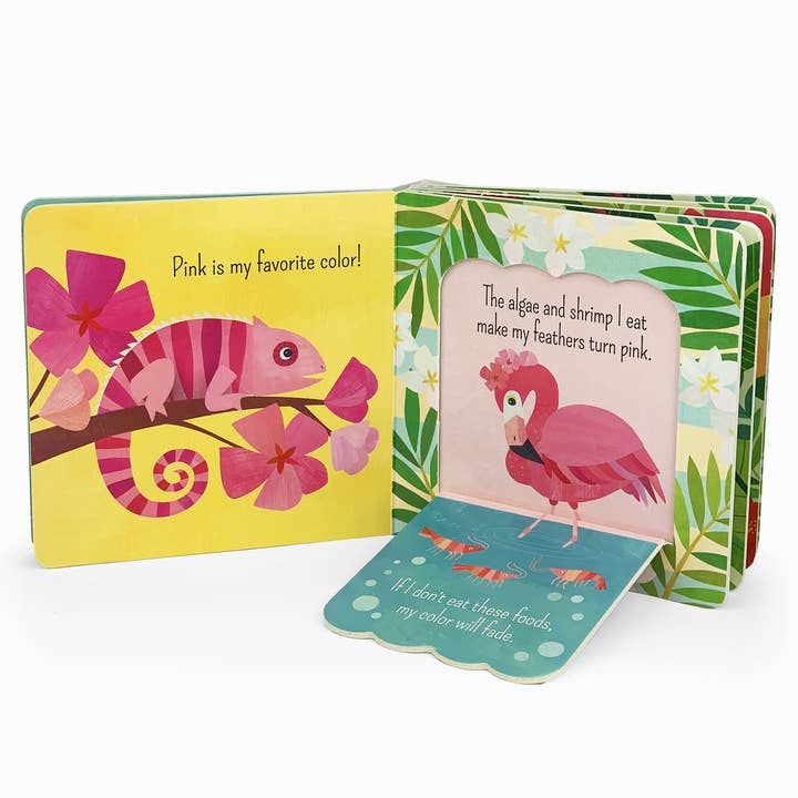 Cottage Door Press - Wholesale Baby & Toddler Book (0-2) - What Is A Flamingo? Bird Lift a Flap Board Book3