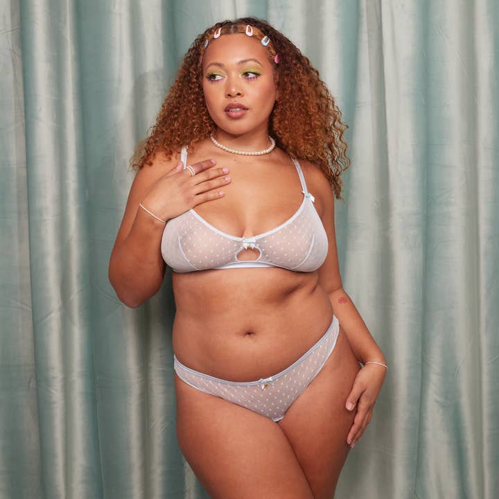 Blue Bettie Bikini Brief for wholesale on Faire2