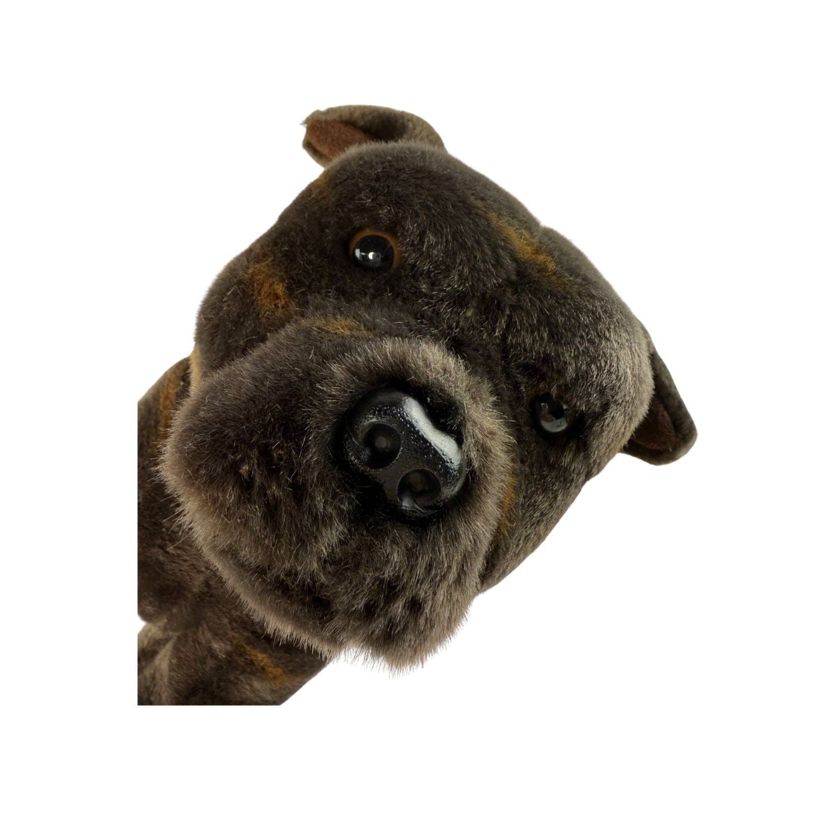 Bocchetta Plush Toys - Vente Peluche – chien - Scooter - Staffy - 32 cm assis, bringé8