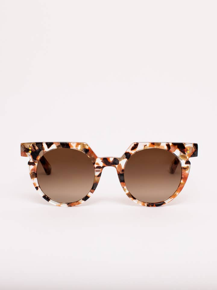 SARDINE - Aster - Terra Fawna Skildpaddeskal Solbriller for engroshandel hos SARDINE