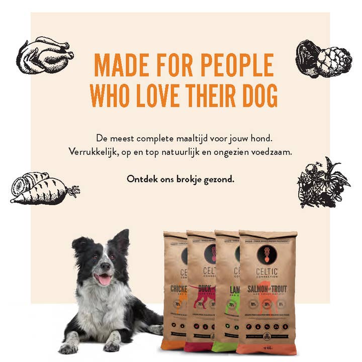 Celtic Connection Holistic Pet Food – Großhandel Tiernahrung – Hund – Hundefutter-Flyer