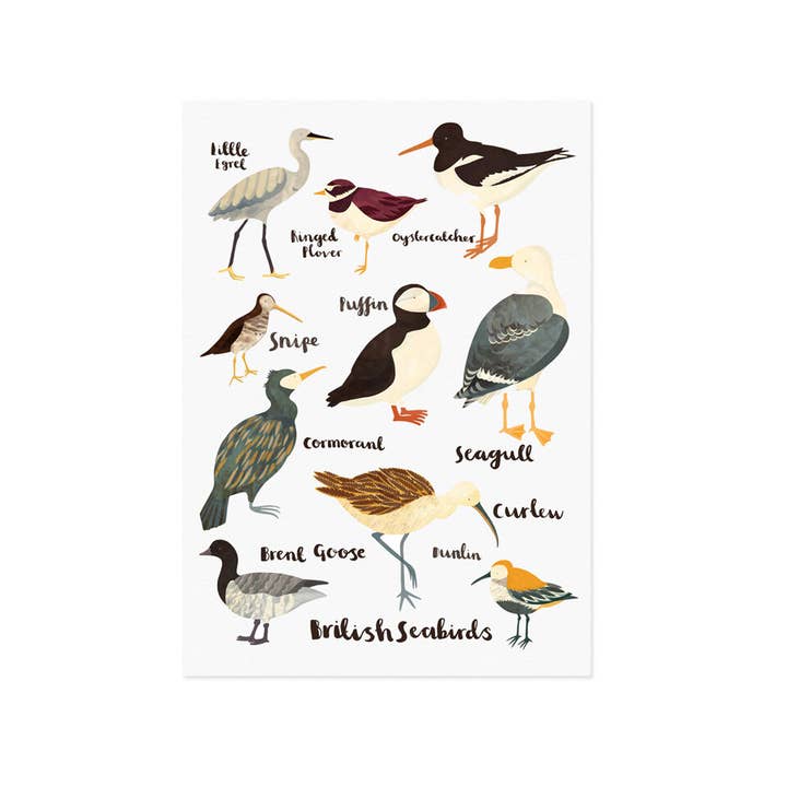 Oiseaux de mer britanniques pour la vente par Lauren Radley