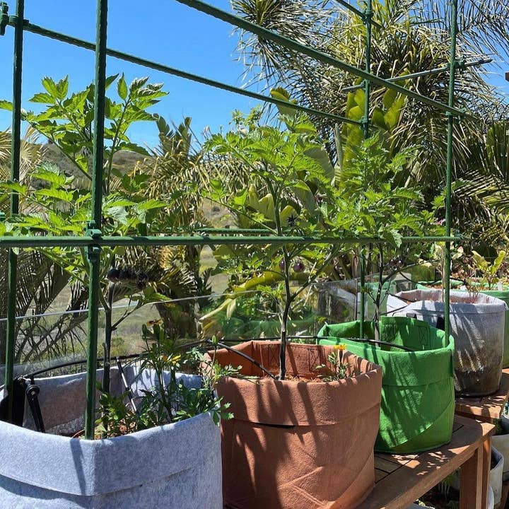 FLI Products – wholesale Garden tool – C-BITE Garden Plant Stake Clips - 50/50 Assortment for 7/16" and 5/16" garden stakes 100pcs1