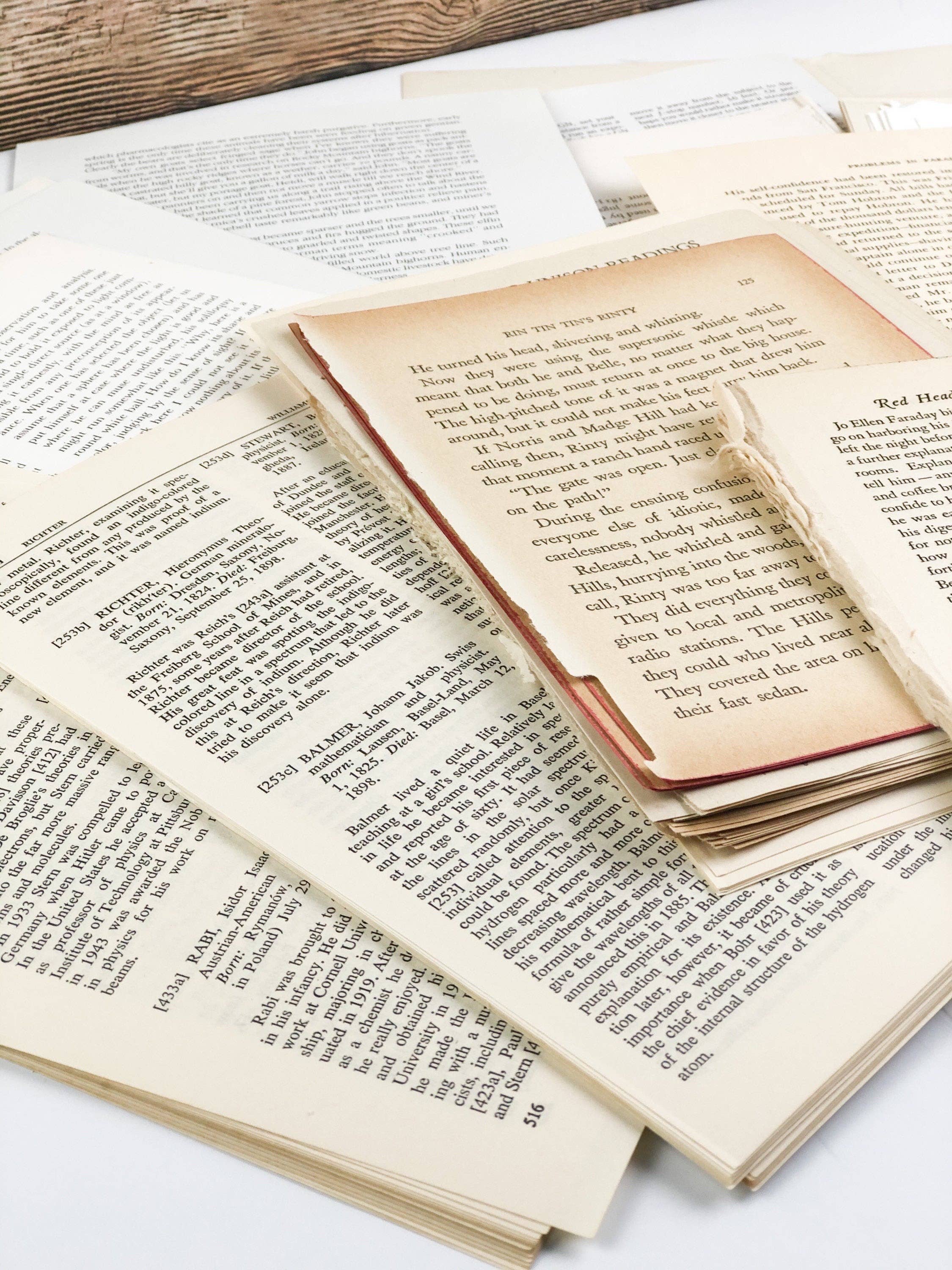 A House of Books - Wholesale Craft Supplies - Art Kit- Vintage Book Pages for Collage and Art2