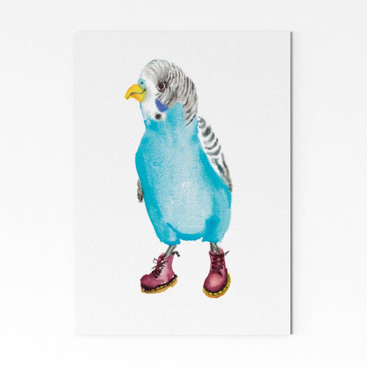 Rosie Webb illustrations - Vente Affiche d'art - GP0037 - Dr. Budgie Imprimé2