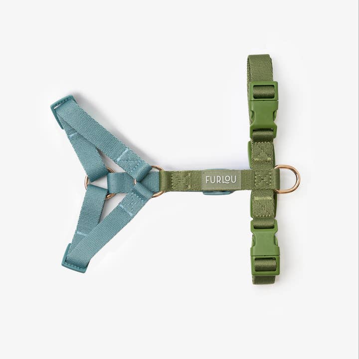 Furlou - Wholesale Pet Harness - Dog - Blue + Green - Strap Dog Harness2