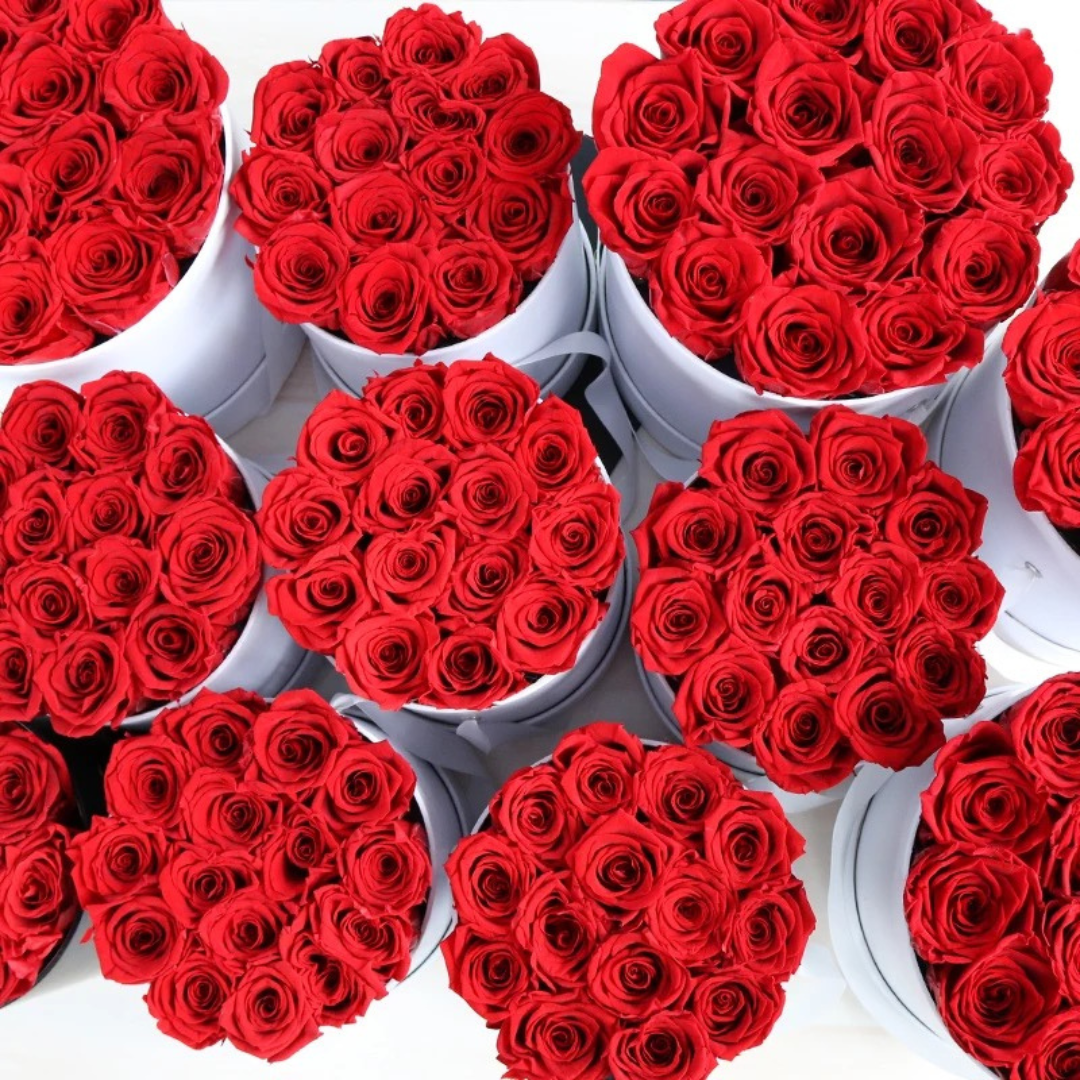 verona home and gift - Wholesale Dried/Pressed Flowers - 24 Real Preserved Roses that Last Forever In Round Box 6