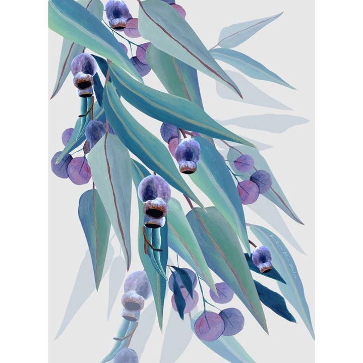 "Jarrah Dreaming" |Australian Eucalyptus Print - Portrait for wholesale by Banksia Blue Studio