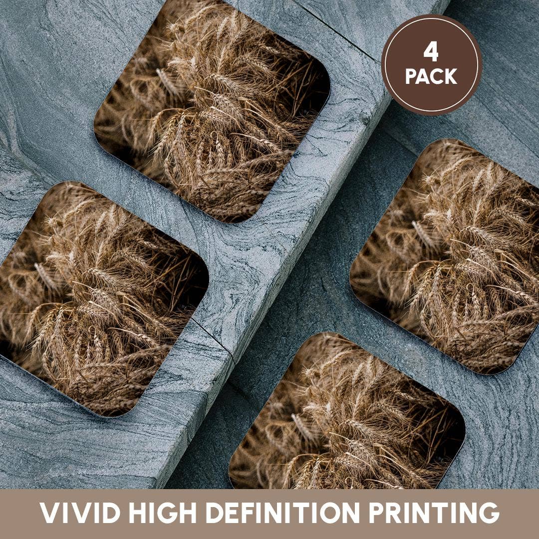 3dRose - Wholesale Onderzetters - 3dRose, Mooie aren van tarwe. Vruchten van de herfstoogst. Thanksgiving-thema, Onderzetter12