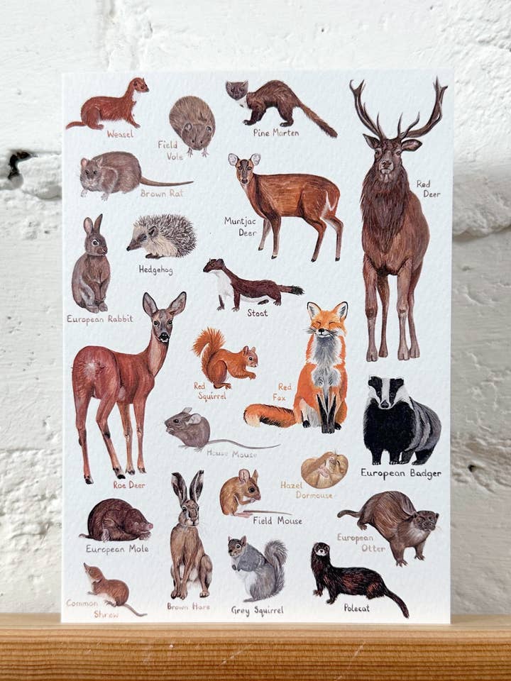 Woodland Animals Card for wholesale by This Thursday
