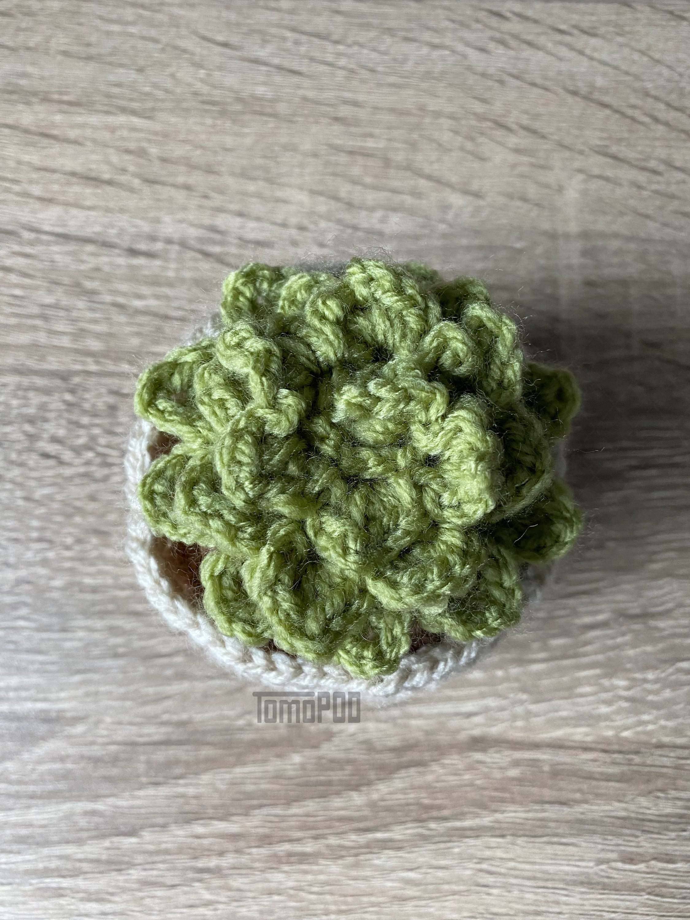 TOMOPOD LLC – wholesale Decorative tabletop object – Crochet Succulent Plant, Amigurumi Plant, Office Desk Decor2