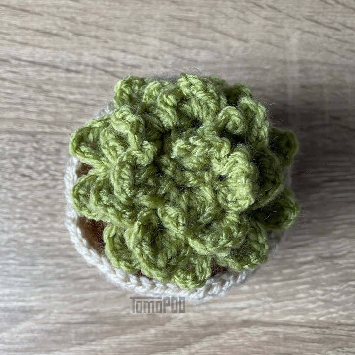 TOMOPOD LLC - Wholesale Decorative tabletop object - Crochet Succulent Plant, Amigurumi Plant, Office Desk Decor2