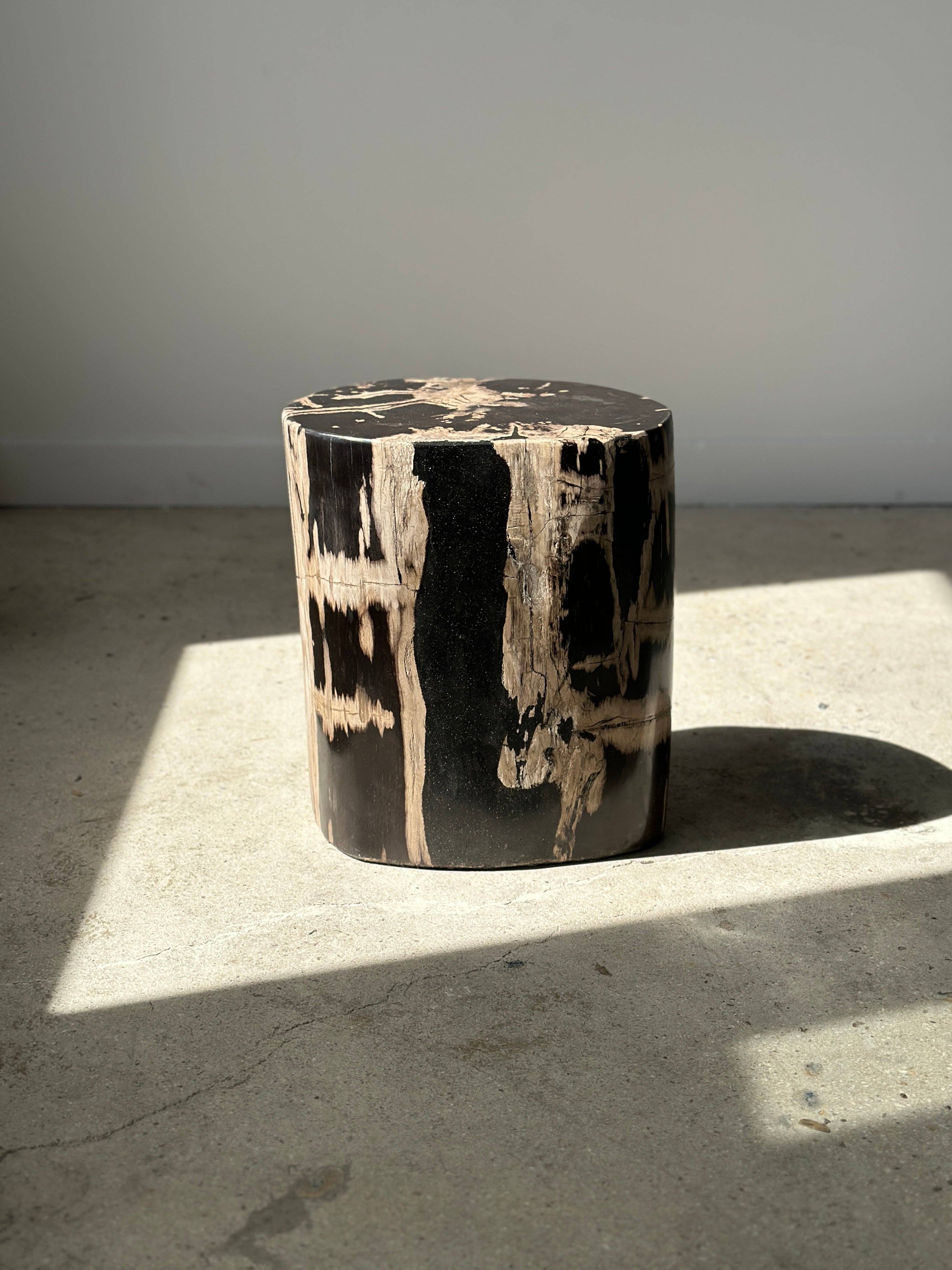 Office Objets - Vente Tables d'appoint - Table d'appoint en bois pétrifié46