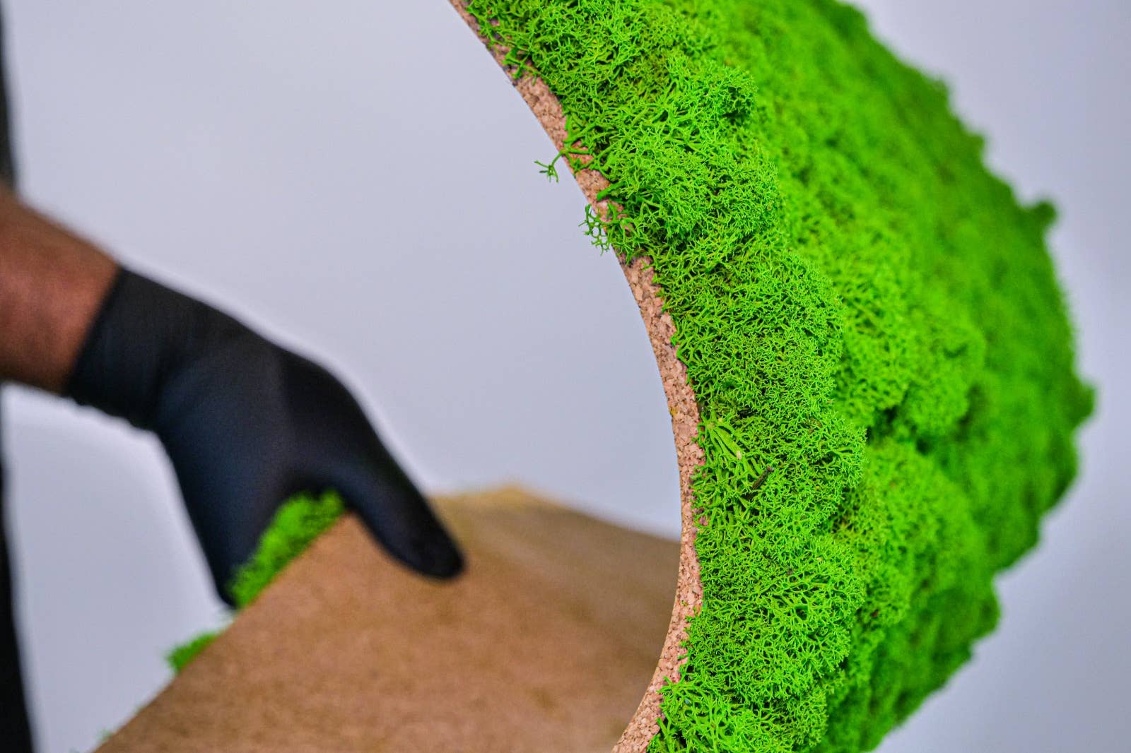 Mossroma - Wholesale Wall Accent - Flexy Moss1