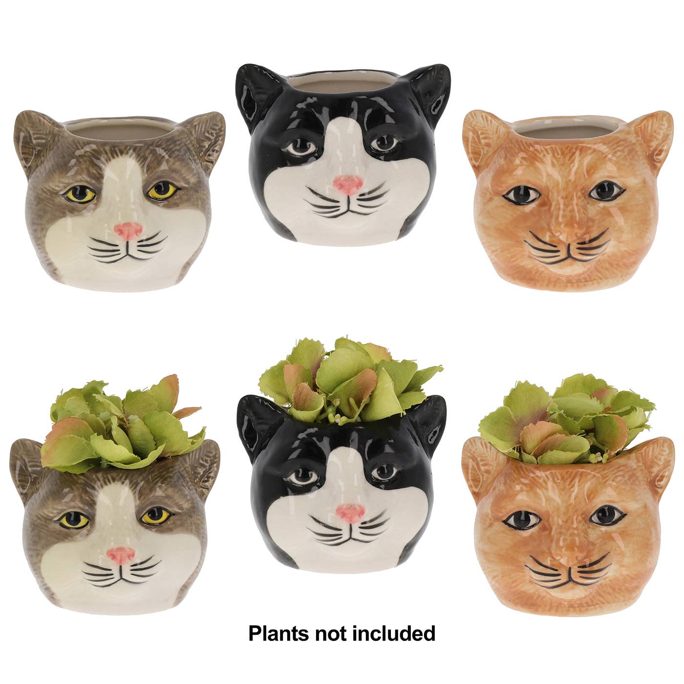 Joe Davies – wholesale Kruka – Moggy Pots mini-krukor och vaser1