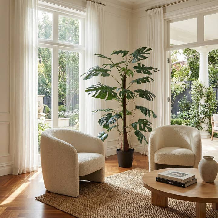 Promo Climbing Giant Monstera Plant in Growers Pot for wholesale by Park Hill Collection